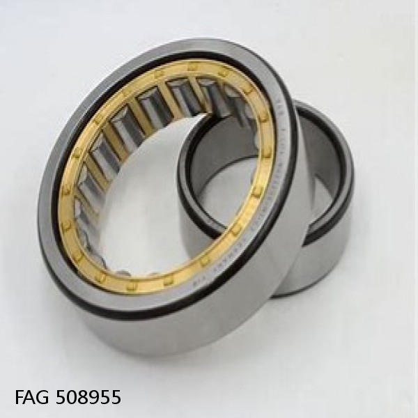 508955 FAG Cylindrical Roller Bearings