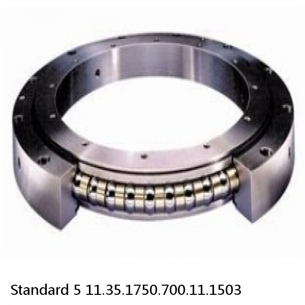 11.35.1750.700.11.1503 Standard 5 Slewing Ring Bearings