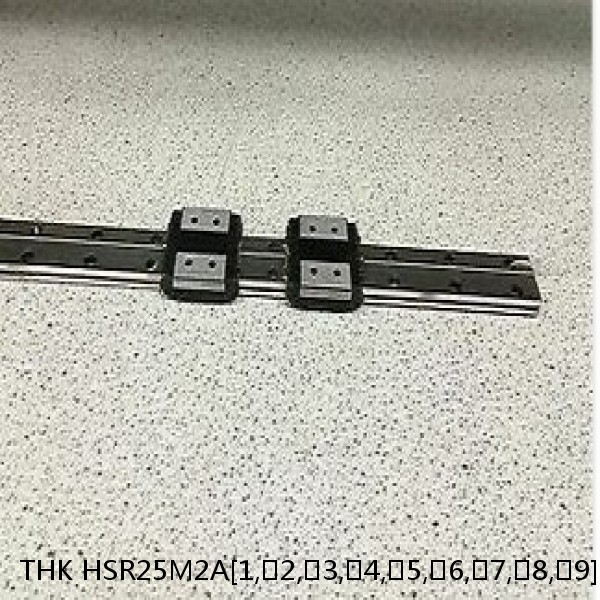 HSR25M2A[1,​2,​3,​4,​5,​6,​7,​8,​9]C1+[97-1000/1]L[H,​P,​SP,​UP] THK High Corrosion Resistance Linear Guide Accuracy and Preload Selectable HSR-M2 Series