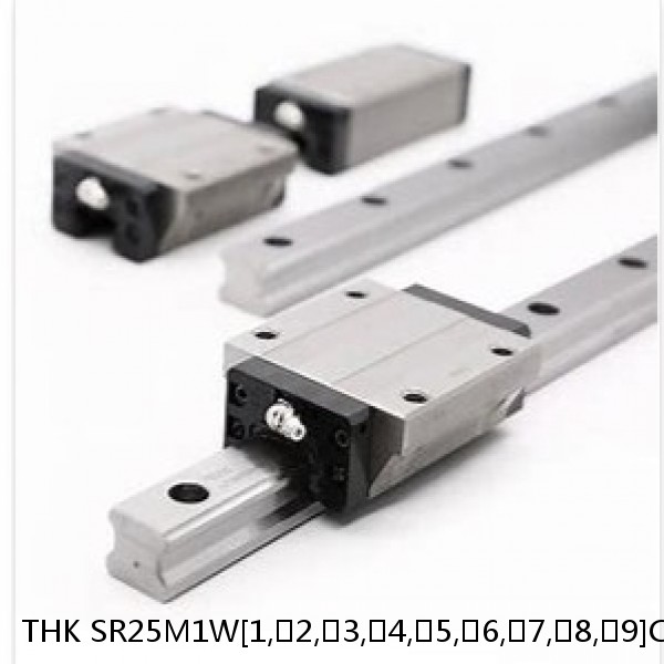 SR25M1W[1,​2,​3,​4,​5,​6,​7,​8,​9]C[0,​1]+[96-1500/1]LY[H,​P,​SP,​UP] THK High Temperature Linear Guide Accuracy and Preload Selectable SR-M1 Series