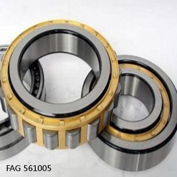 561005 FAG Cylindrical Roller Bearings