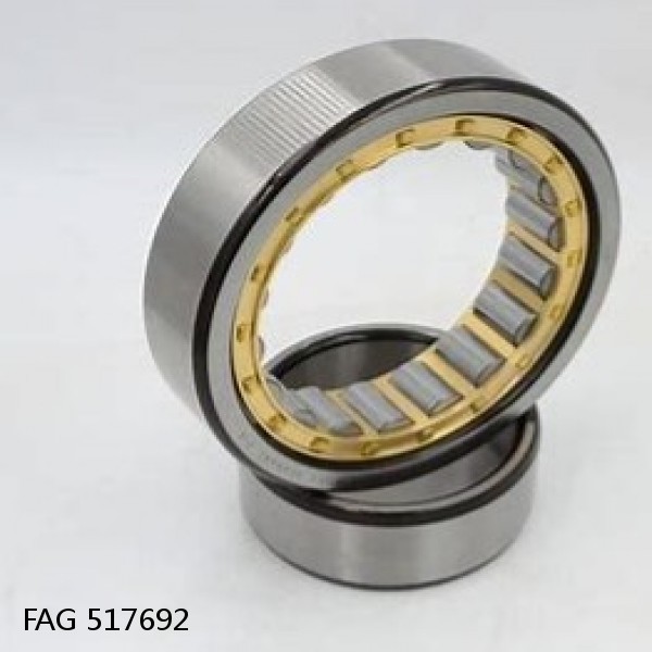 517692 FAG Cylindrical Roller Bearings